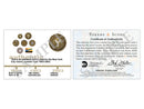image displaying sample coa for ny token bracelet.