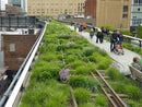 image of high line rail walkway in new york city.
